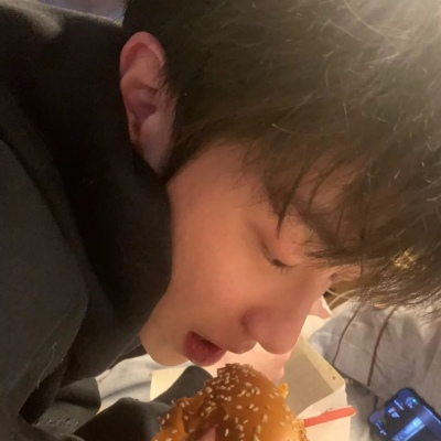 兽设复古风格设计Furry群